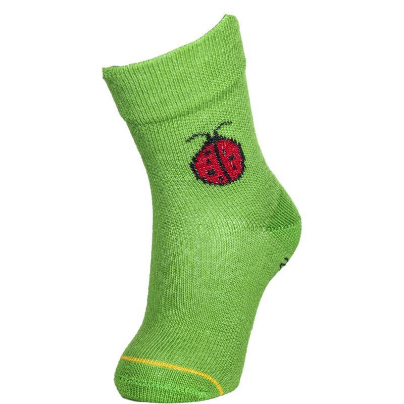 Chaussettes enfant coton bio vert