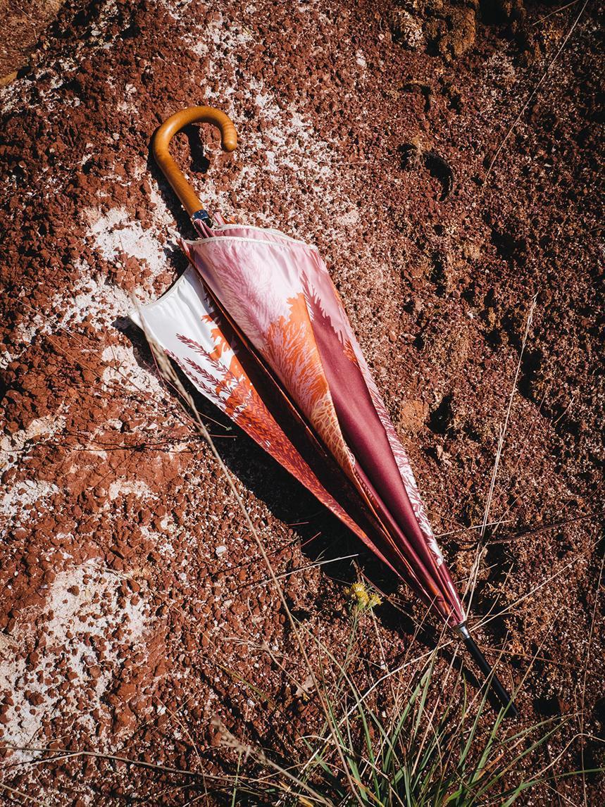 Parapluie canne Naturae